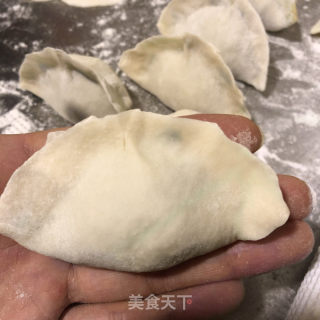 韭菜猪肉水饺的做法步骤：8