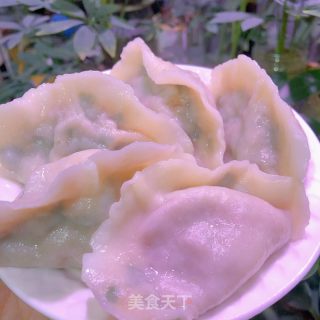 韭菜猪肉水饺的做法步骤：9
