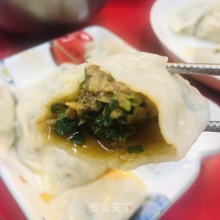 韭菜猪肉水饺的做法步骤：11