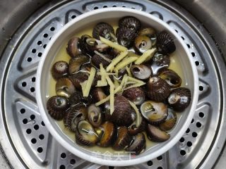雪菜汁清蒸马蹄螺的做法步骤：5