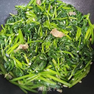 蒜蓉油渣红薯叶的做法步骤：5