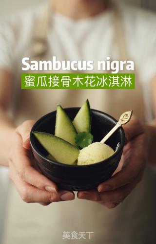 蜜瓜接骨木花冰淇淋的做法