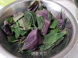 紫苏叶鸡蛋煎饼的做法步骤：2