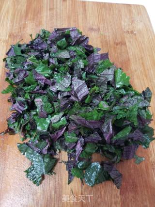 紫苏叶鸡蛋煎饼的做法步骤：4
