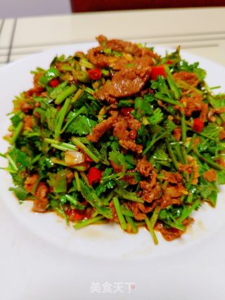香菜拌牛肉的做法步骤：19