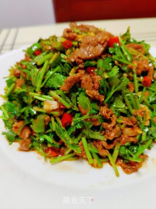 香菜拌牛肉的做法步骤：20