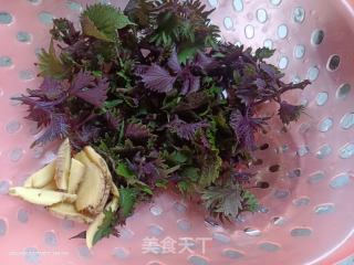紫苏啤酒鸭的做法步骤：2