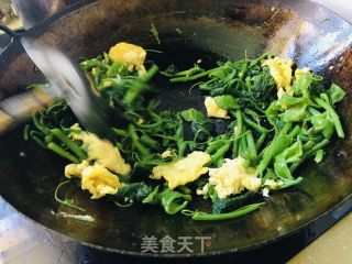 南瓜尖炒鸡蛋的做法步骤：6