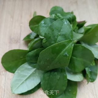 人参苗鲍鱼粥的做法步骤：5