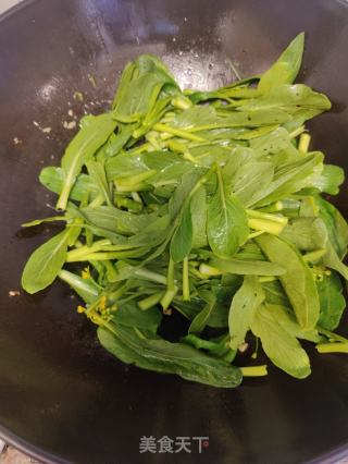 蒜蓉菜芯的做法步骤：2