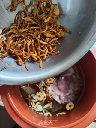 西洋参石斛虫草花炖隔山肉的做法步骤：6