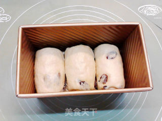 葡萄干蜂蜜裸麦土司的做法步骤：14