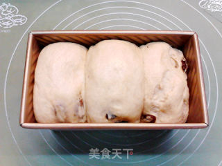 葡萄干蜂蜜裸麦土司的做法步骤：15