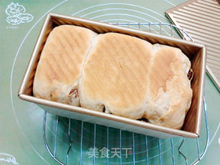 葡萄干蜂蜜裸麦土司的做法步骤：18