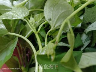 蒜香薯叶的做法步骤：1