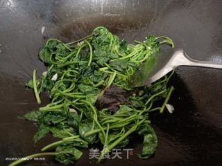蒜香薯叶的做法步骤：4