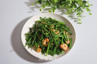 韭菜苗炒虾仁的做法