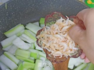 清炒蒲瓜的做法步骤：6