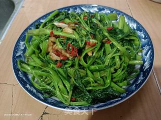 炒空心菜的做法步骤：5