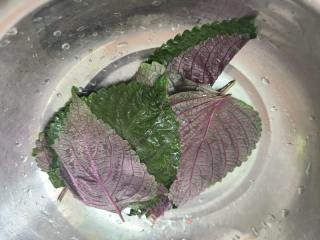紫苏虾仁粥的做法步骤：4