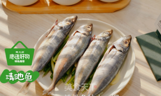 清蒸清池鱼的做法步骤：4