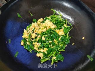 空心菜炒蛋的做法步骤：6