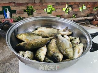 家常啤酒烧鲫鱼的做法步骤：2