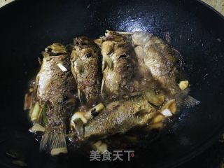 家常啤酒烧鲫鱼的做法步骤：4