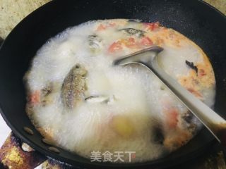 番茄鲫鱼汤的做法步骤：6