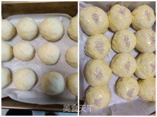 陈皮绿豆沙面包的做法步骤：6