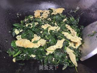 紫苏叶炒鸡蛋的做法步骤：5