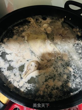 甲鱼鸽子汤的做法步骤：2