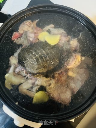 甲鱼鸽子汤的做法步骤：3