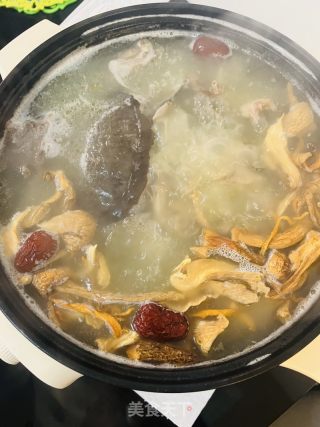 甲鱼鸽子汤的做法步骤：6