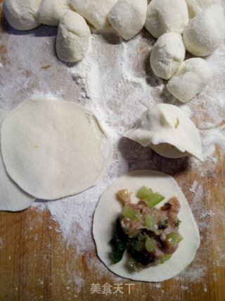 芹菜猪肉水饺的做法步骤：9