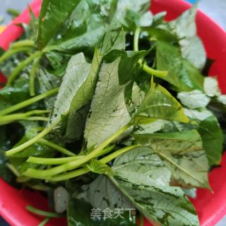 清炒红薯叶的做法步骤：1
