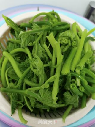 清炒南瓜苗的做法步骤：1