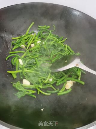 清炒南瓜苗的做法步骤：5