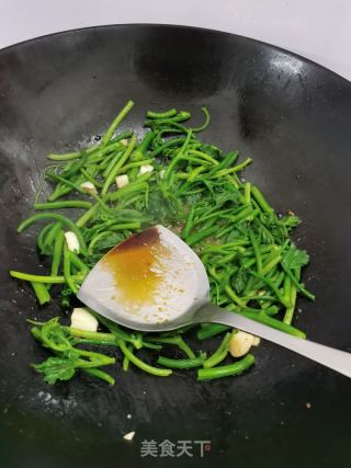 清炒南瓜苗的做法步骤：6