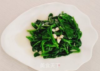 鸡婆菜的做法步骤：8