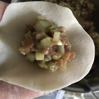 韭黄牛肉水饺的做法步骤：9