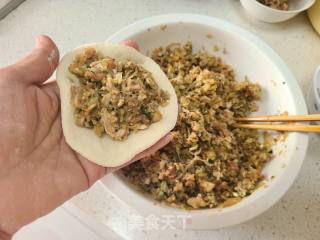 酸菜肉馅包子的做法步骤：9