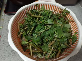 凉拌马齿菜的做法步骤：1