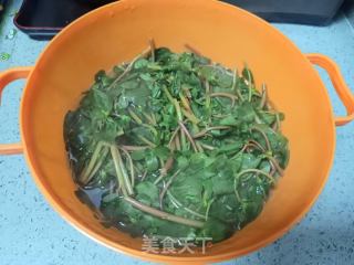 凉拌马齿菜的做法步骤：3