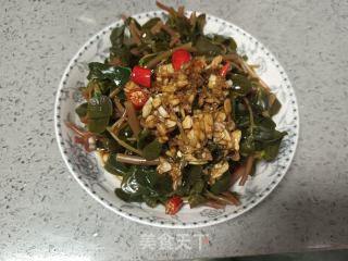 凉拌马齿菜的做法步骤：7
