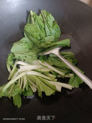炒海白菜的做法步骤：2