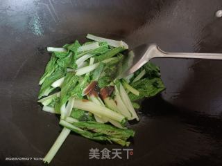 炒海白菜的做法步骤：3