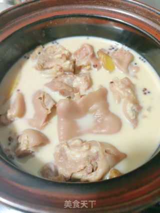 奶香蹄花汤的做法步骤：6