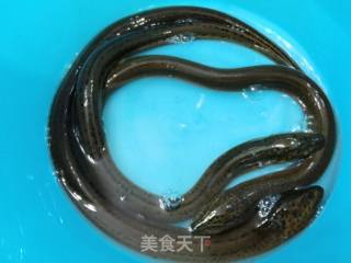 色香味俱全的家常菜/红烧黄鳝鹌鹑蛋的做法步骤：1