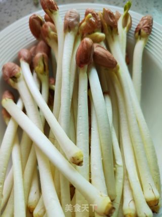 花生芽炒肉的做法步骤：1